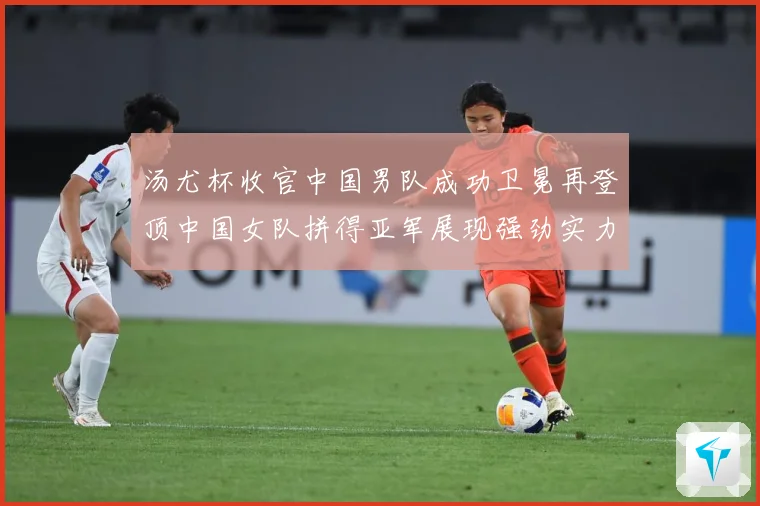 汤尤杯收官中国男队成功卫冕再登顶中国女队拼得亚军展现强劲实力成长观察-深度解析