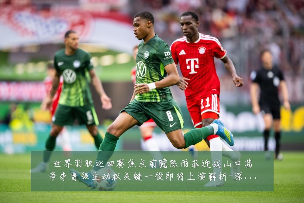 世界羽联巡回赛焦点前瞻陈雨菲迎战山口茜争夺晋级主动权关键一役即将上演解析-深度解析