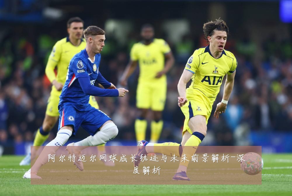 阿尔特迈尔网球成长轨迹与未来前景解析-深度解析